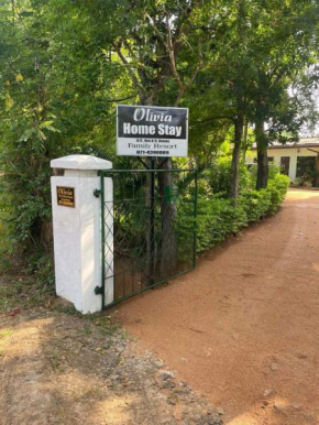 Olivia HomeStay